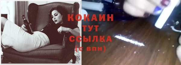 гидра Вязники