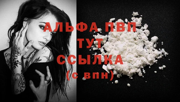 spice Вязьма