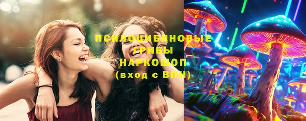 spice Вязьма