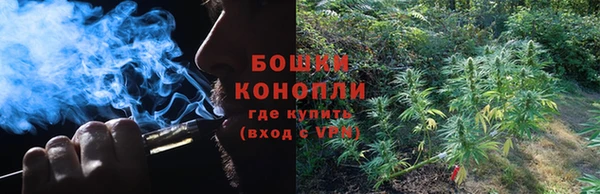 спиды Волосово