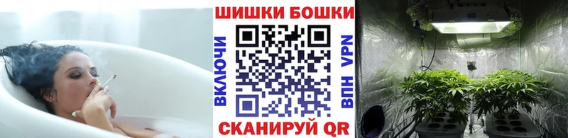 как найти   Заводоуковск  Конопля AK-47 
